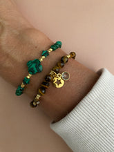 Lade das Bild in den Galerie-Viewer, Jungle Stars